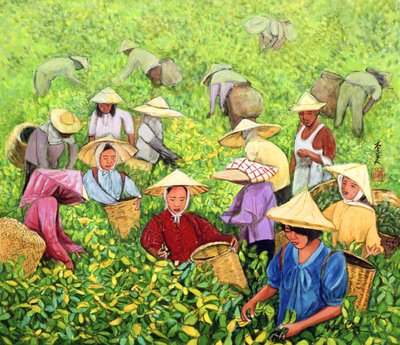 Tea Picking Girl by Komi Chen